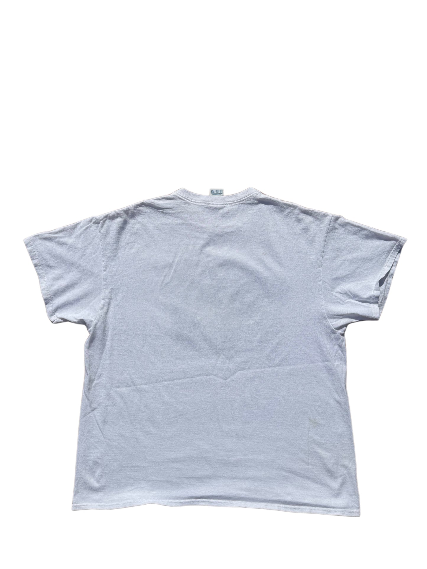 MARS PROJECT X VINTAGE WORCESTER RED SOX T-SHIRT
